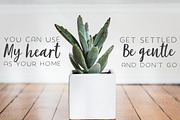 The succulent - font trio!, a Script Font by Andrea De Oliveira (Thumbnail 6 of 7)