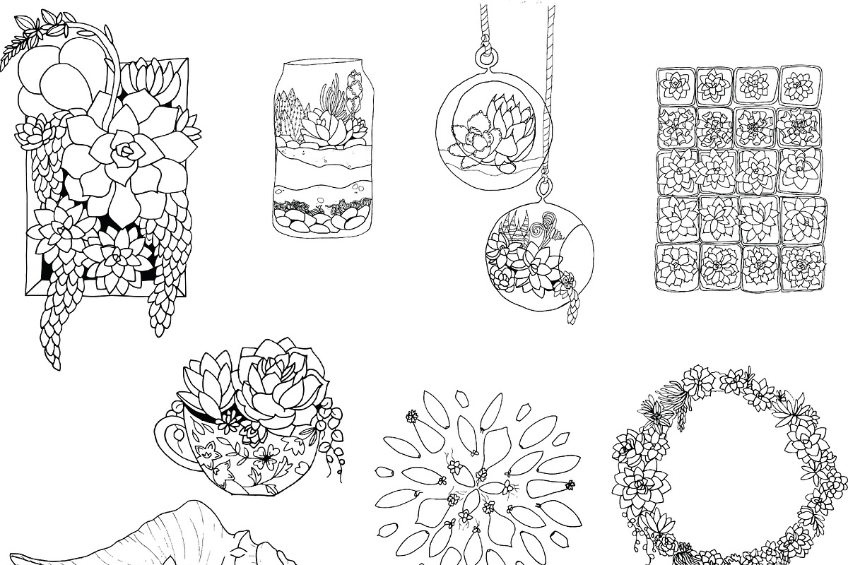 Succulent Elements & Illustrations, an Illustration by Valeri Nick (Photo 3 of 5)
