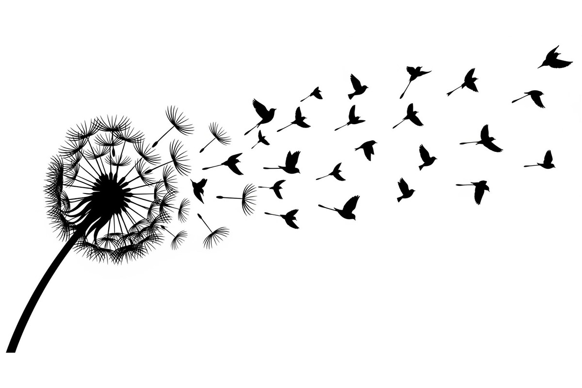 Dandelion Blow Silhouette Bundle, an Illustration by yasushie (Photo 15 of 31)