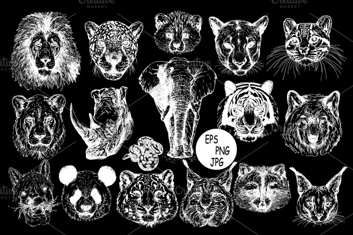 Animal Faces, an Animal Illustration by Ecaterina Sciuchina (Photo 3 of 7)