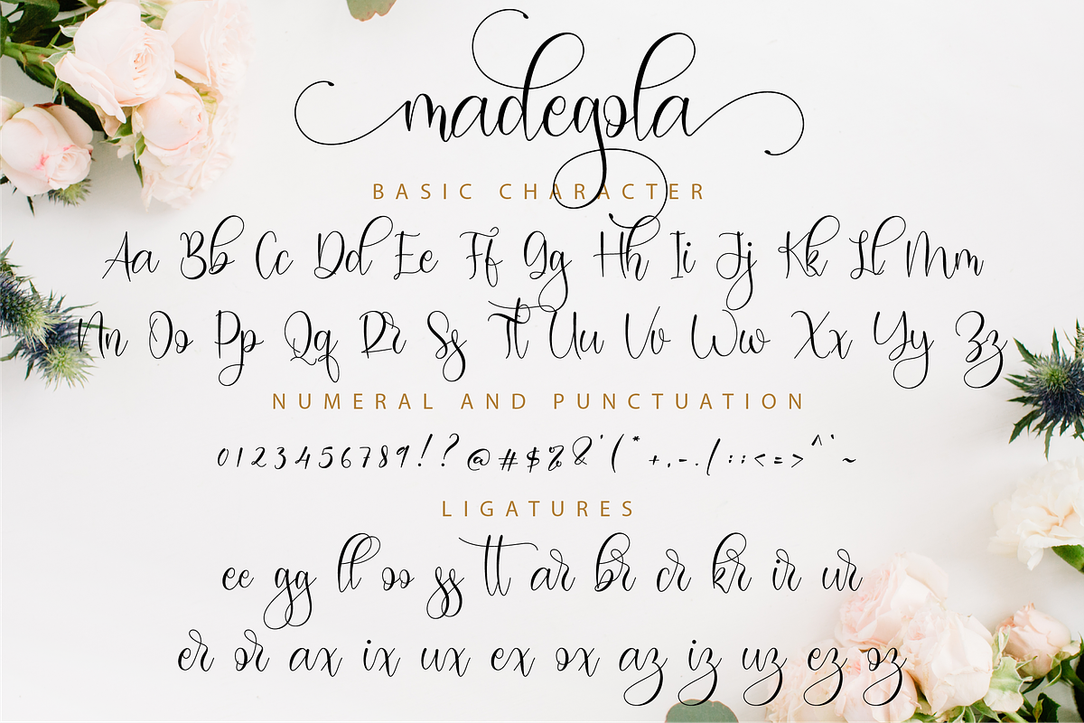 Madegola Script, a Script Font by Nissa Studio (Photo 11 of 12)