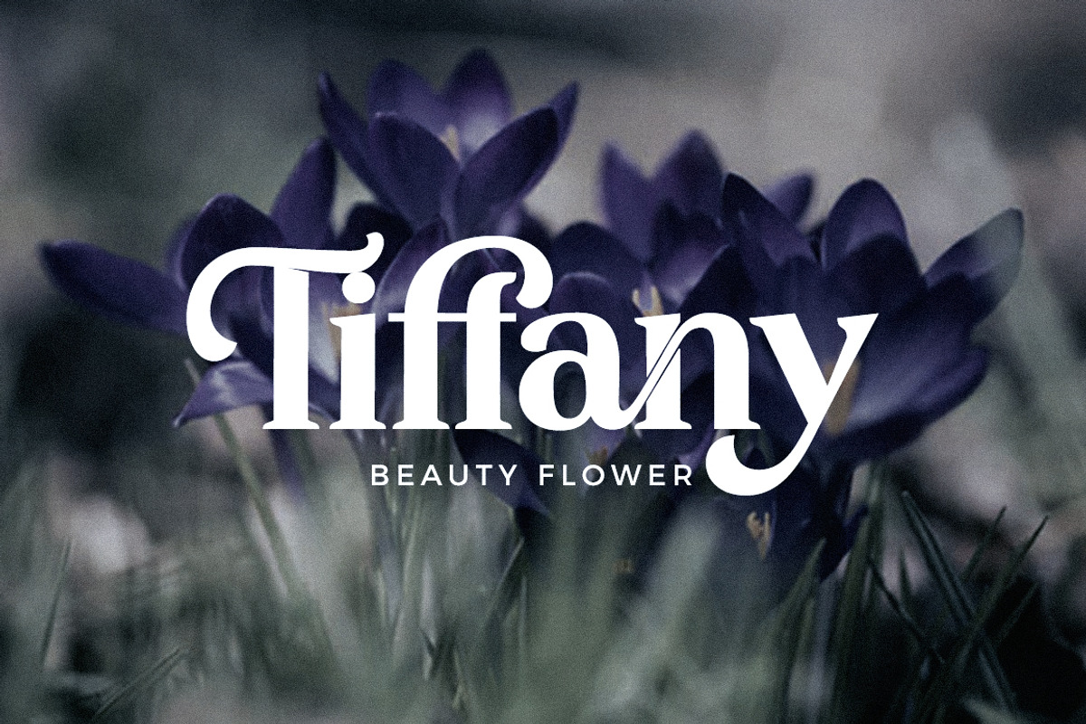 Baltster, a Serif Font by Picatype Studio (Photo 8 of 17)
