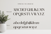 Slamyon - Elegant Swash Display, a Serif Font by Qweera Studio (Thumbnail 10 of 12)
