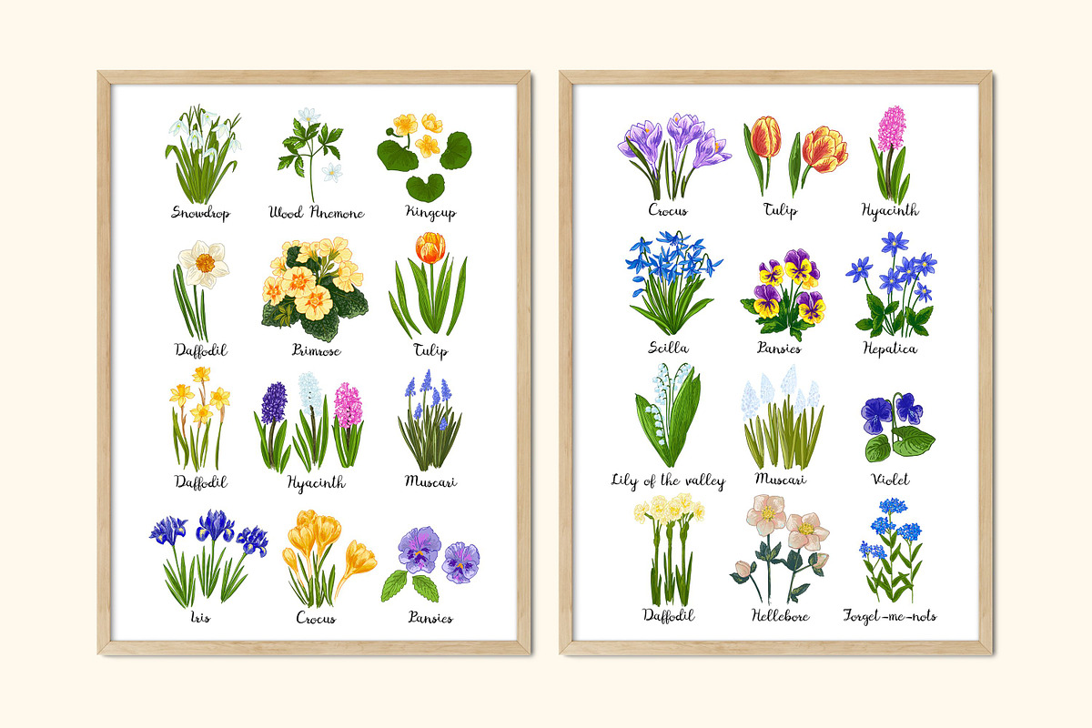 Spring flowers Color vector, a Decorative Illustration by irina.vaneeva (Photo 4 of 4)
