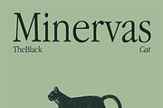 Sonata - Nostalgic Font, a Serif Font by NeueStudios (Thumbnail 9 of 14)