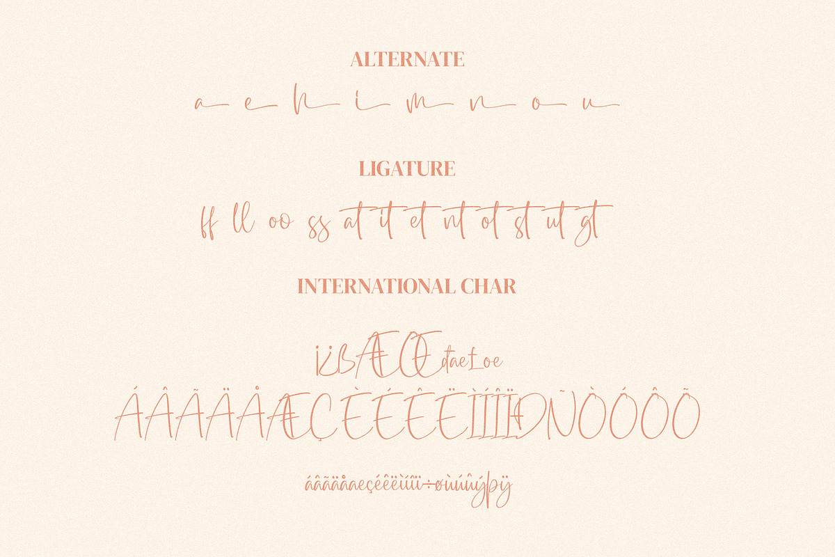 Dialog Sheila, a Script Font by Integritype Studio (Photo 10 of 11)