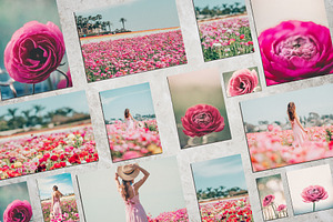 Dreamy Flower Fields Photo Bundle