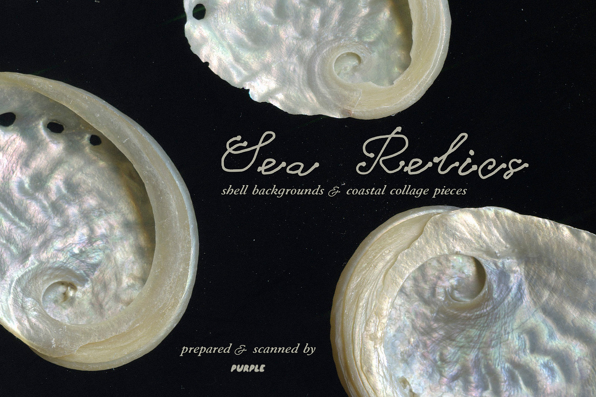 Sea Relics: Objects & Backgrounds, an Object Graphic by Purple (Photo 2 of 14)