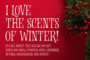 50% Winter Lover - Curly Serif Font