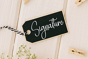Wedding Ceremony | Script Font, a Handwritten Font by Scratchones (Thumbnail 5 of 8)