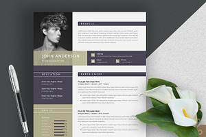 Word Resume / CV