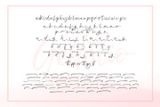 Gellatio - Chic Brush Font, a Script Font by din-studio.com (Thumbnail 7 of 16)