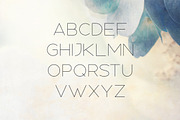 Nectar Typeface, a Sans Serif Font by Tugcu Design Co. (Thumbnail 2 of 5)