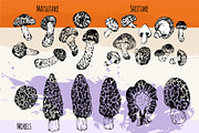 Mushrooms. Big set. 84 objects, a Decorative Illustration by Alena Kaz (Thumbnail 4 of 8)