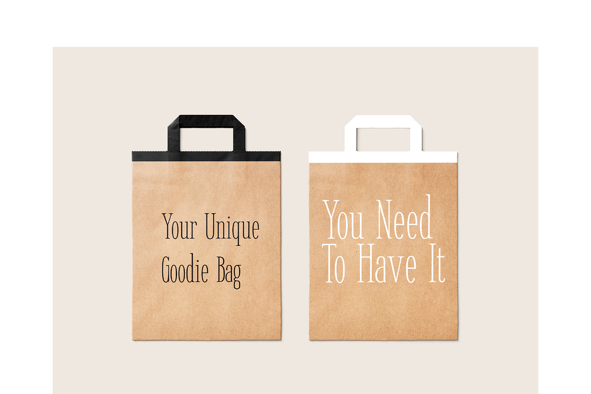 Thinsin Font, a Serif Font by Brave Type (Photo 3 of 3)