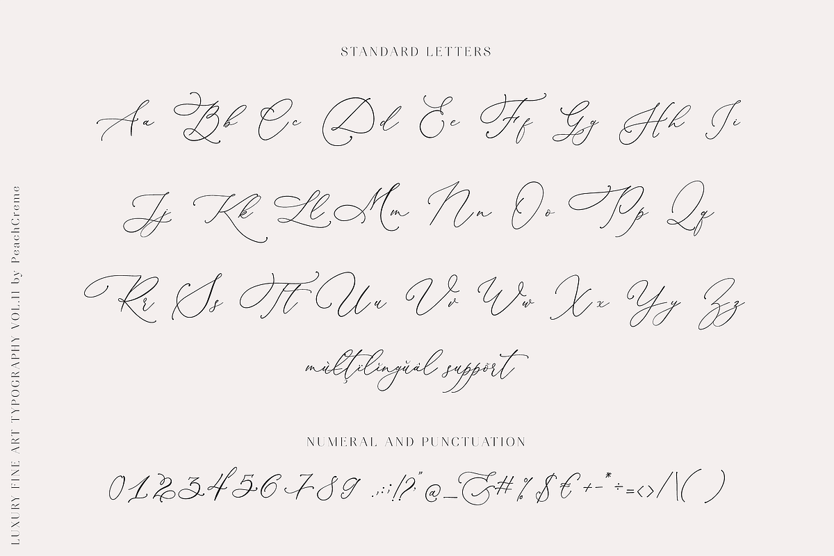 Darling Modern // Luxury Font, a Script Font by PeachCreme (Photo 24 of 29)