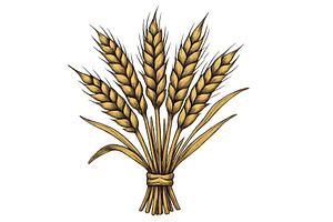 Wheat stalks tied together in a, a Food Illustration by ZinetroN