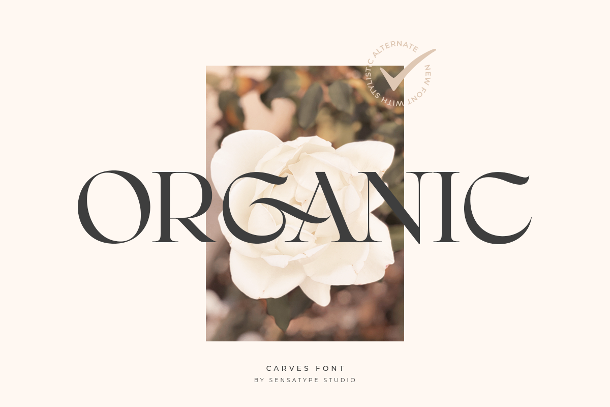 CARVES - Modern Display Font, a Sans Serif Font by Sensatype (Photo 2 of 20)