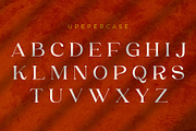 Astgina | An Elegant Display Serif, a Serif Font by Andrimada Creative (Thumbnail 12 of 13)