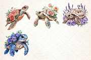 Beautiful Sea Turtles Clipart Bundle, an Illustration by Dream Creation (Thumbnail 4 of 4)