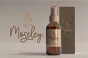 Monokind Script - Monoline Font, a Script Font by PutraCetol Studio (Thumbnail 2 of 11)