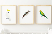 Cute Australian Birds Clipart Bundle, an Animal Illustration by Rebecca Tiana Studio (Thumbnail 4 of 4)