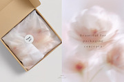Ethereal Floral Backgrounds Bundle, an Abstract Photo by Allure Art (Thumbnail 15 of 26)