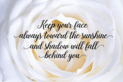 Bethanya Script, a Script Font by Megatype (Thumbnail 2 of 8)