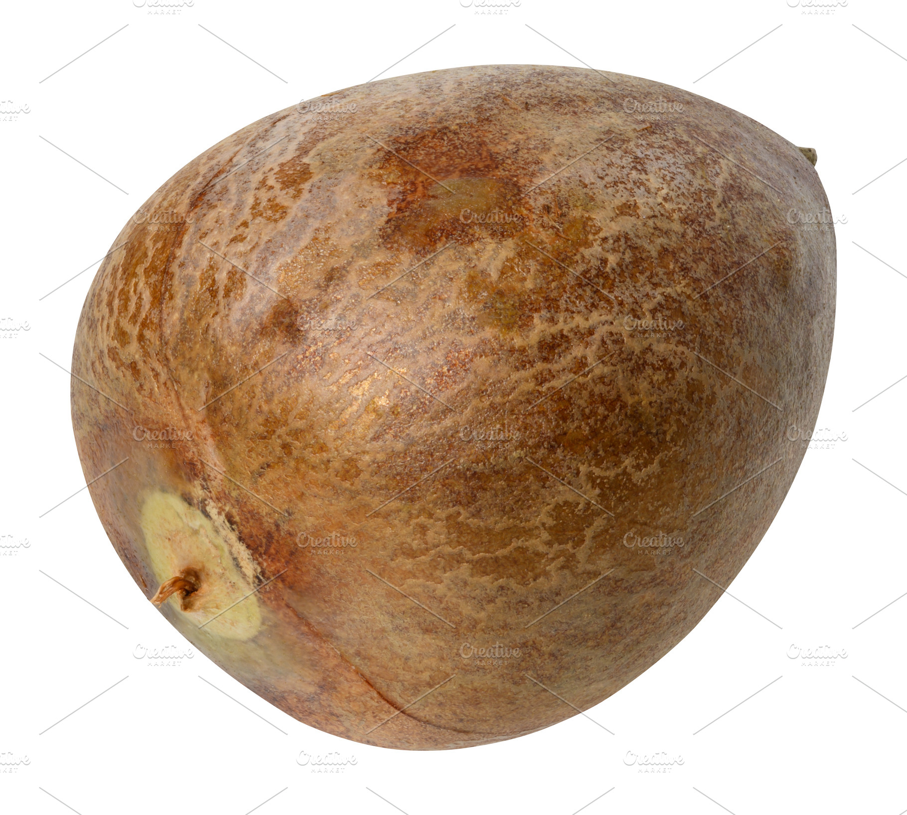 Whole brown avocado pit on isolated background, a Nature Photo by ndanko