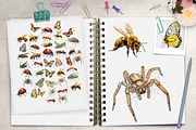 Nature's Symphony: Insects & More, an Illustration by Dazzling Art Boutique (Thumbnail 2 of 6)