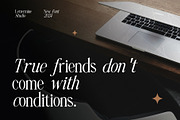 Reveline Detania - Elegant Serif, a Serif Font by Lettermine (Thumbnail 3 of 10)