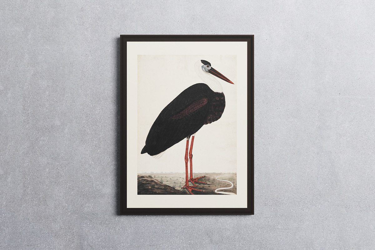 200 Frame Canvas Mockup Bundle, a Household Mockup by FoundImages (Photo 44 of 57)