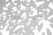 Leaves Shadow on Wall Background., a Background Graphic by kaisorn (Thumbnail 5 of 8)