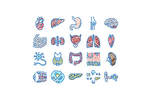 Human Internal Organ Anatomy Icons, an Object Illustration by pikepicture