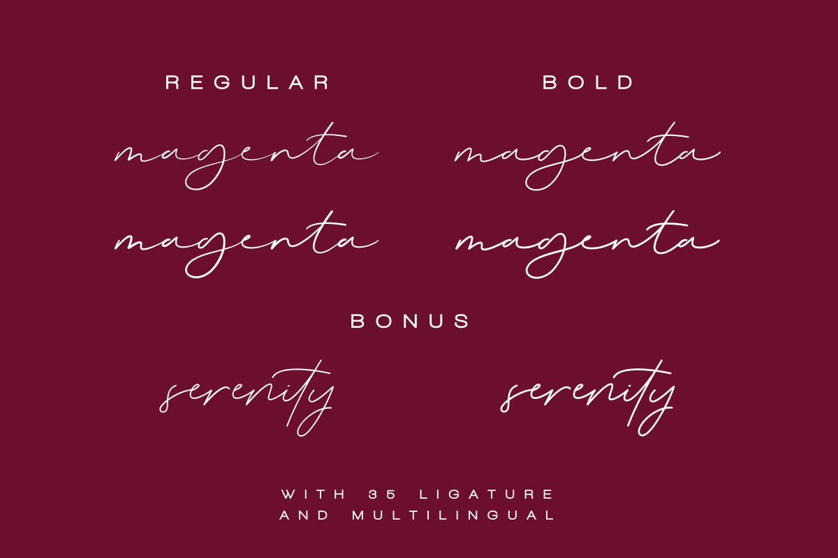Magenta - 3 Luxury Signature Font, a Script Font by Dharmas Foundry (Photo 13 of 15)