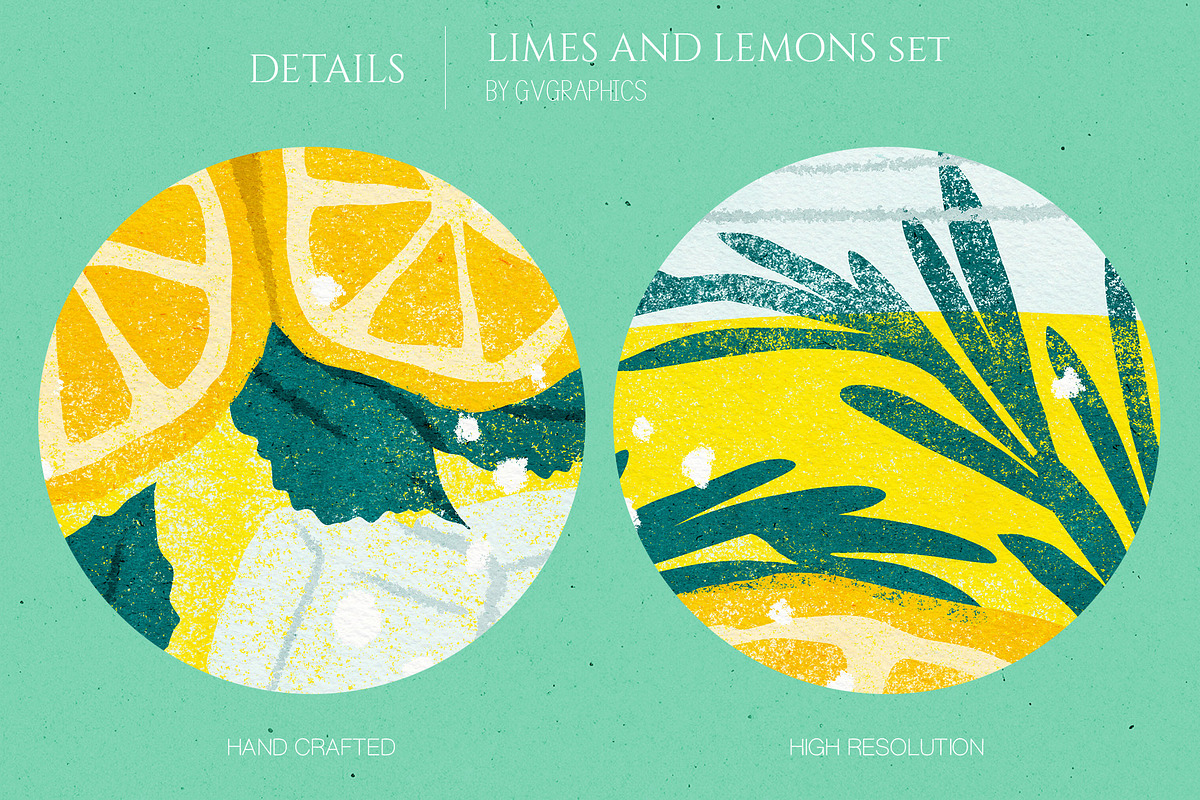 Limes and Lemons Illustrations, a Food Illustration by GVGraphics (Photo 6 of 7)