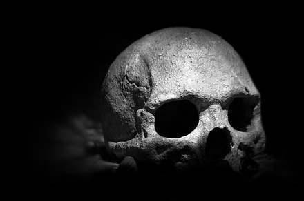 Scary skeleton featuring anatomy, background, and black, an Abstract Photo by KYNA STUDIO