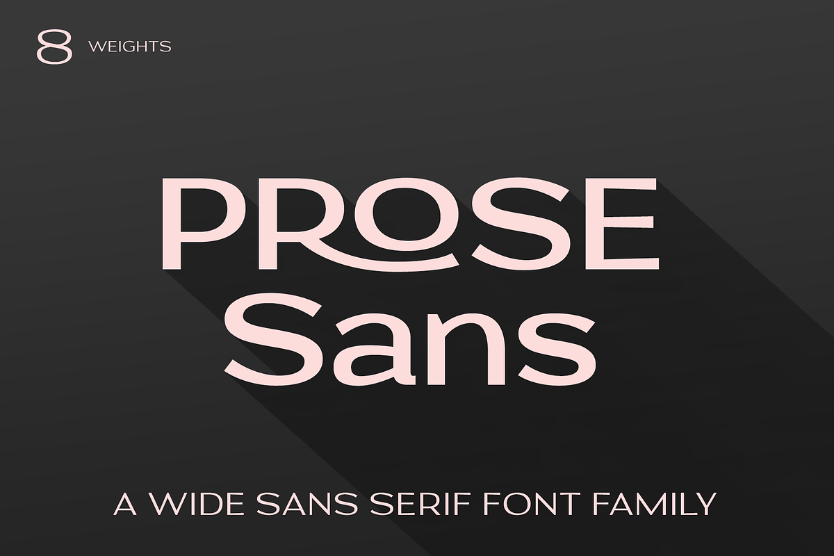Prose Sans | Sans Serif Font Family, a Sans Serif Font by Ayca Atalay (Photo 1 of 11)