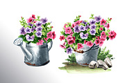 Rustic Collection, an Illustration by Daria Ustiugova (Thumbnail 4 of 12)