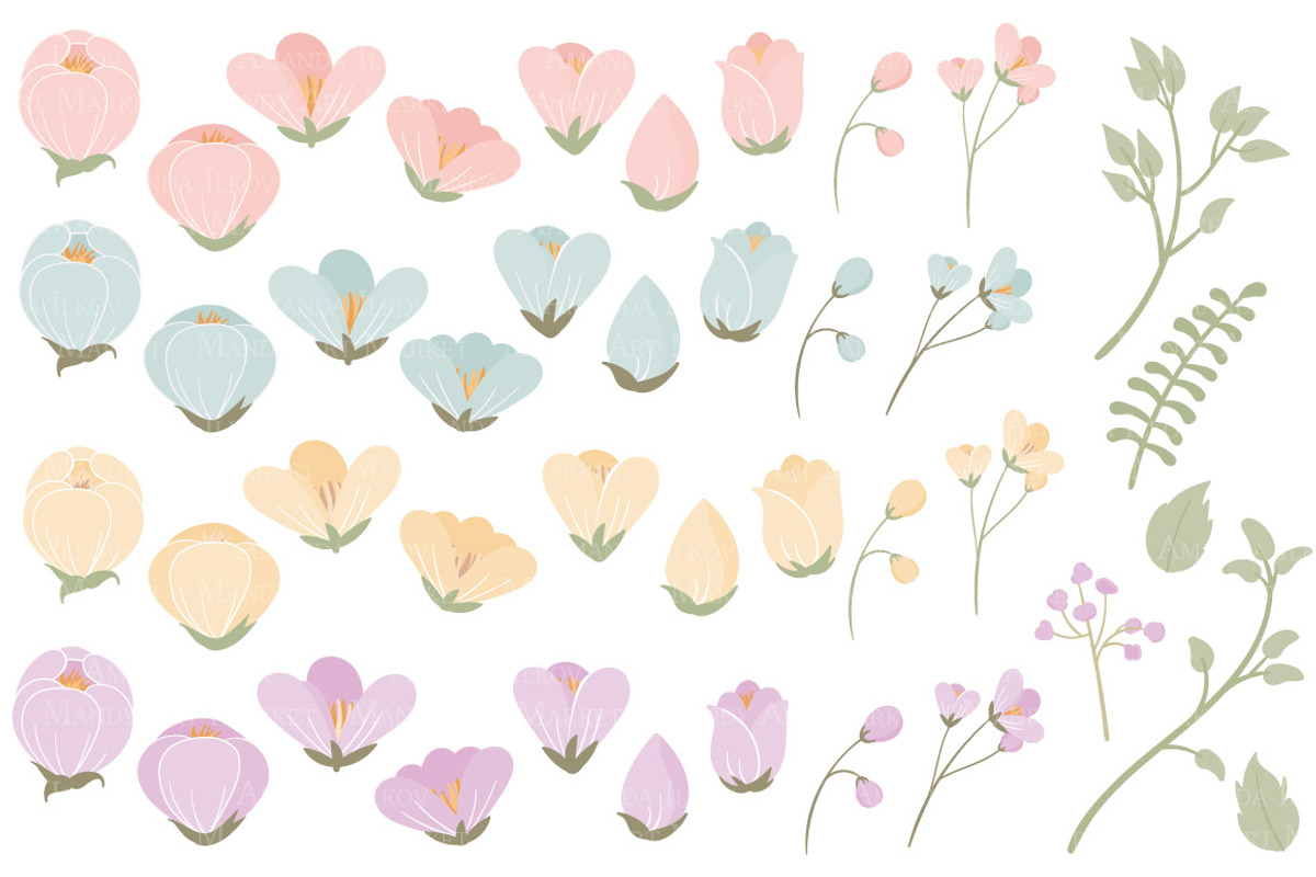 Pastel Flowers Clipart & Vectors, an Illustration by Amanda Ilkov (Photo 3 of 3)