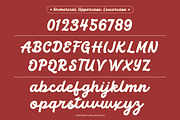 Machy - Handwritten Script Font, a Handwritten Font by Flawless And Co (Thumbnail 8 of 10)
