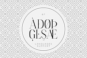 Type Monster - Elegant Font + Extras, a Serif Font by VP Fonts (Thumbnail 13 of 15)