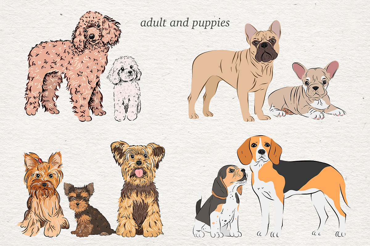 Dog Lover - big collection, an Animal Illustration by Alina Sh (Photo 5 of 10)