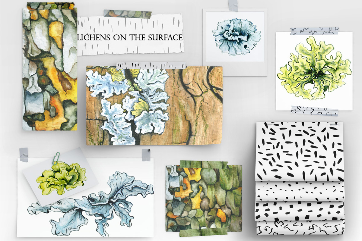 Lichens on the Surface, an Illustration by Ann Bright (Photo 2 of 16)