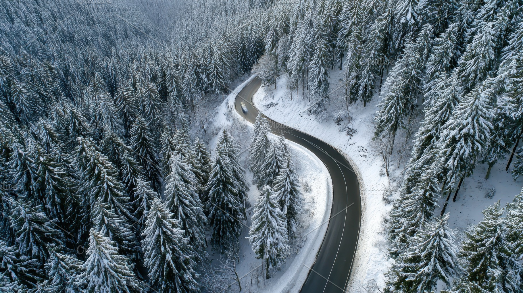 Winding empty asphalt road, a Photo by Pavel_design