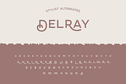 DelRay - Sans Serif Ligature Typefac, a Serif Font by Surplus Type Co (Thumbnail 10 of 13)