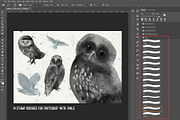 Magic owls: 280 elements for design, an Animal Illustration by Shusha Guna Art (Thumbnail 20 of 23)