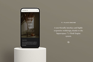 Alpaca Squarespace 7.1 Website Theme