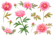 20%OFF! Watercolor Romantic Flowers, an Illustration by Katya Zlobina (Thumbnail 2 of 6)