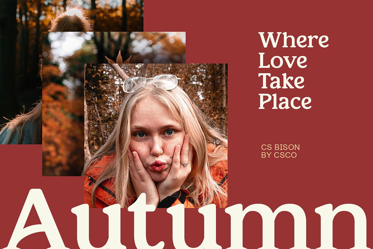 CS Bison – Retro Font, a Serif Font by Craft Supply Co. (Photo 2 of 8)